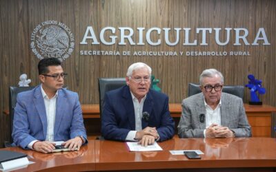 Acuerdan productores, industria y gobierno esquema comercial para maíz blanco del ciclo Otoño-Invierno 2023-2024