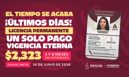 ZONA AGRO 450X270 (33)