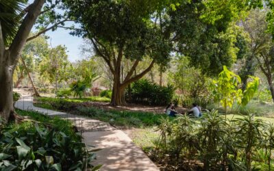 Club de orquídeas, Club de Cuentos y recorridos nocturnos, los imperdibles de abril en Jardín Botánico Culiacán