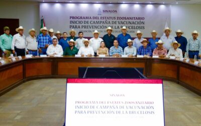 Gobernadora Yeraldine marca el inicio de la campaña de vacunación para prevenir la brucelosis bovina