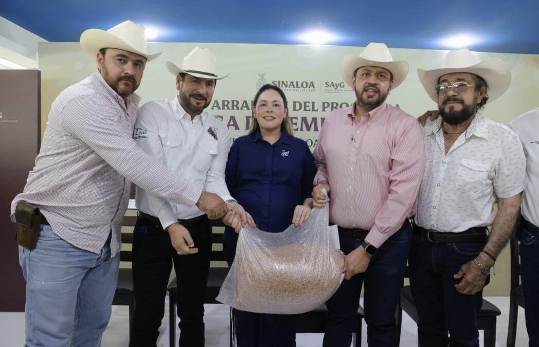 Entrega gobernadora Yeraldine semilla de sorgo a más de 3 mil 800 ganaderos de Sinaloa
