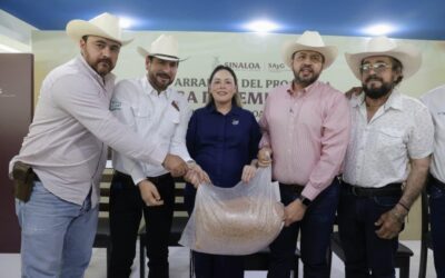 Entrega gobernadora Yeraldine semilla de sorgo a más de 3 mil 800 ganaderos de Sinaloa